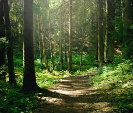 Ranceria Tribe EPA Dept.